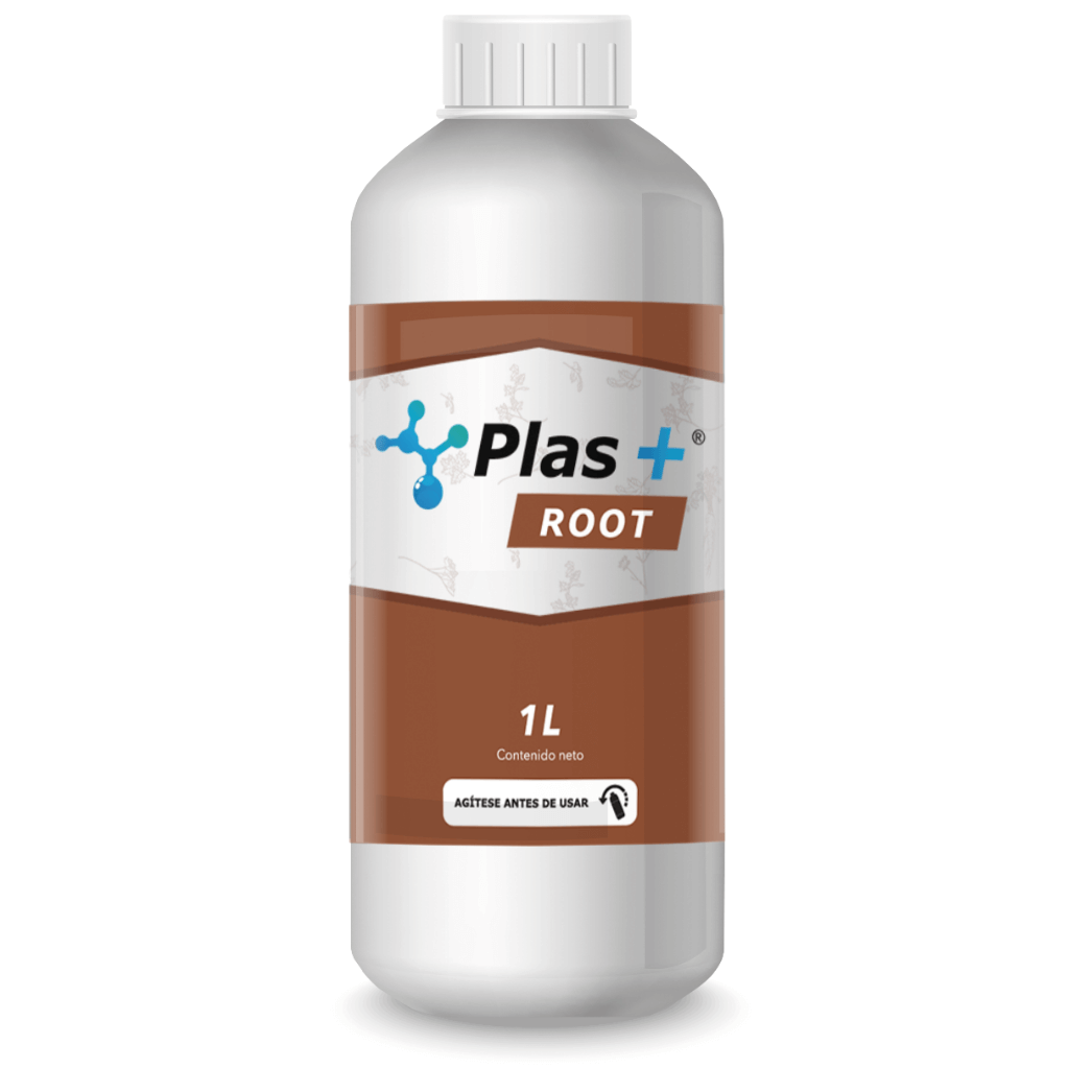 Imagen de producto de Plas+ Root