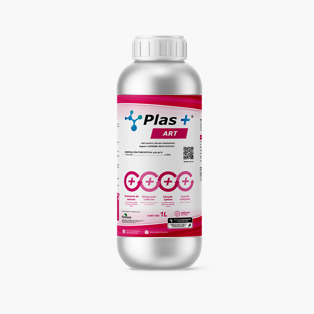 Plas+ Art