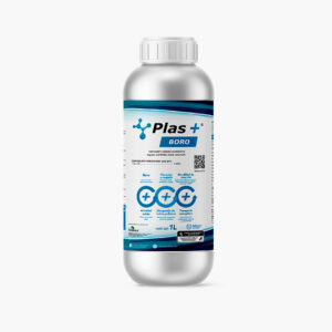 Plas+ Boro
