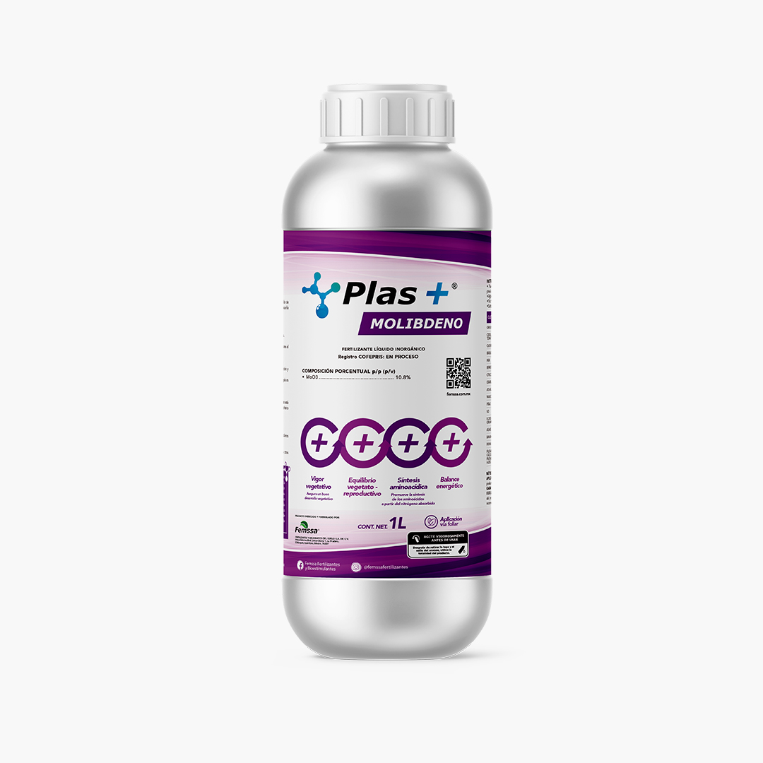 Plas+ Molibdeno